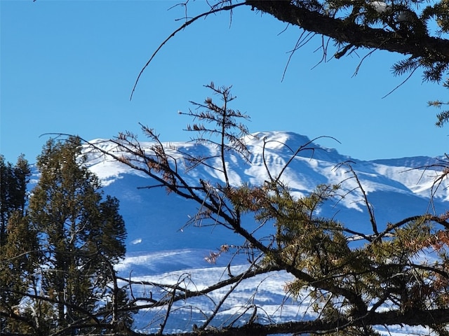 1411 Middle Fork Vis, Fairplay, CO 80440
