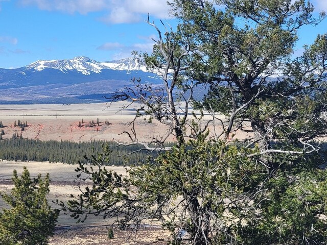 1411 Middle Fork Vis, Fairplay, CO 80440