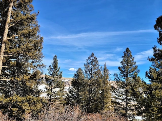 1411 Middle Fork Vis, Fairplay, CO 80440
