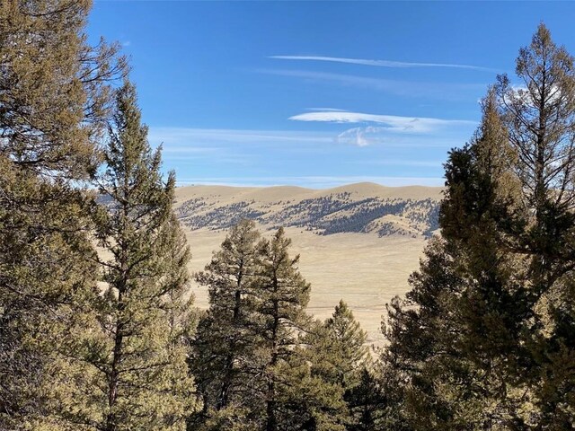 1411 Middle Fork Vis, Fairplay, CO 80440