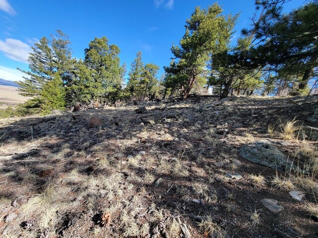 1411 Middle Fork Vis, Fairplay, CO 80440