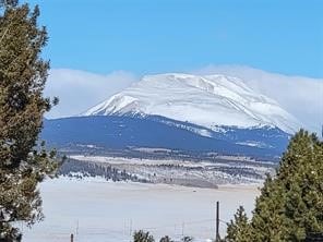 1411 Middle Fork Vis, Fairplay, CO 80440