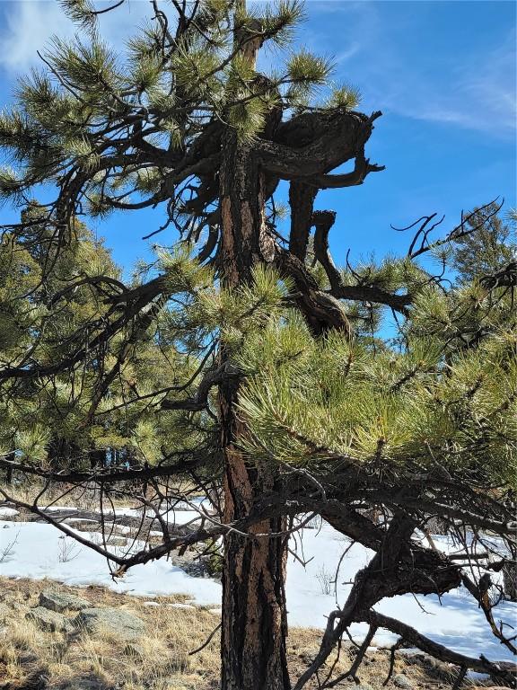 1411 Middle Fork Vis, Fairplay, CO 80440