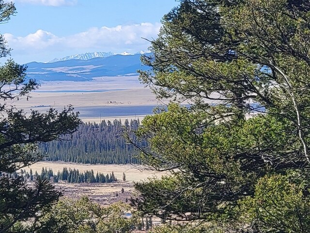 1411 Middle Fork Vis, Fairplay, CO 80440