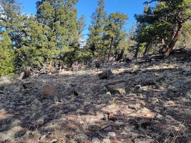 1411 Middle Fork Vis, Fairplay, CO 80440