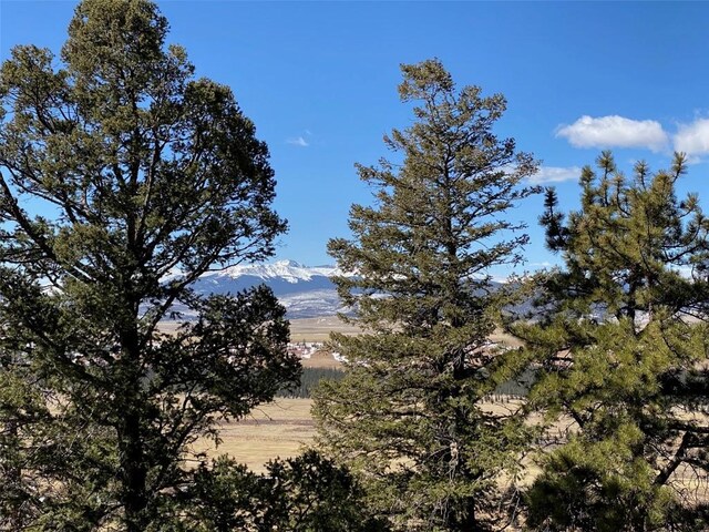 1411 Middle Fork Vis, Fairplay, CO 80440