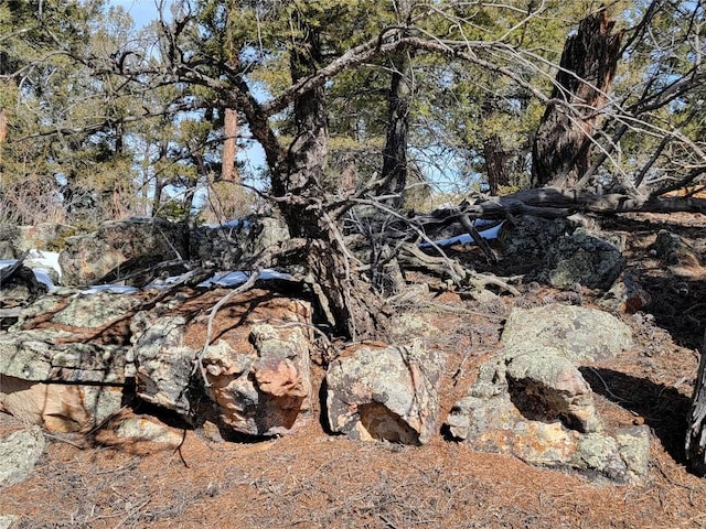 1411 Middle Fork Vis, Fairplay, CO 80440