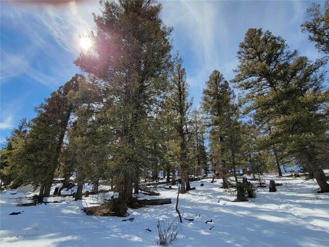1411 Middle Fork Vis, Fairplay, CO 80440