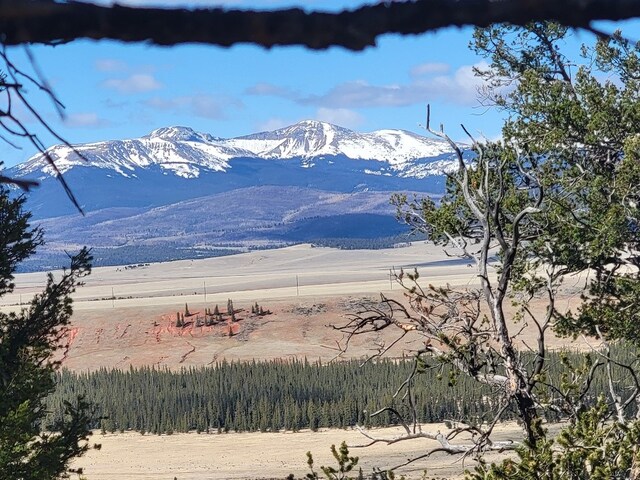 1411 Middle Fork Vis, Fairplay, CO 80440