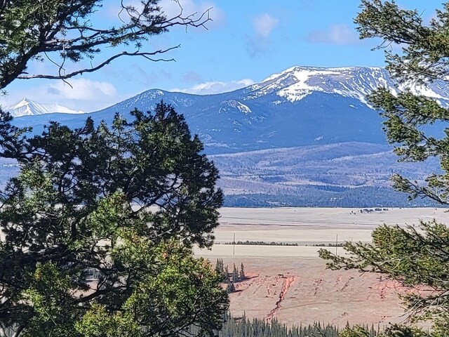 1411 Middle Fork Vis, Fairplay, CO 80440