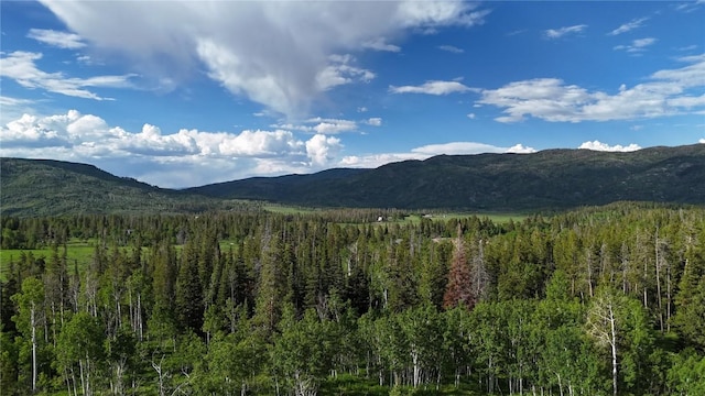 32965 Maverick Way, Oak Creek, CO 80467
