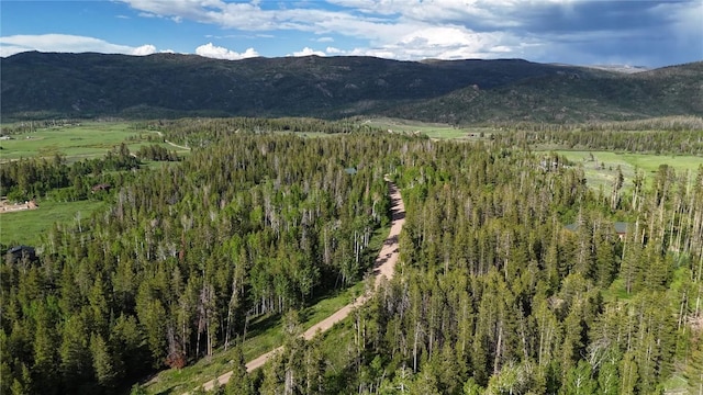 32965 Maverick Way, Oak Creek, CO 80467