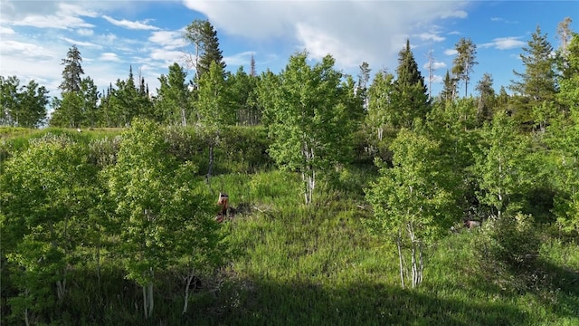 32965 Maverick Way, Oak Creek, CO 80467
