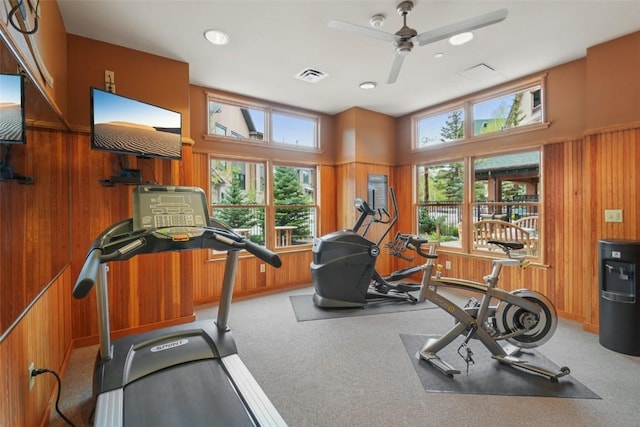 129 River Run Rd Unit 8055, Keystone, CO 80435 - exercise area featuring wood walls, healthy amount of natural light, a ceiling fan, carpet flooring, and recessed lighting