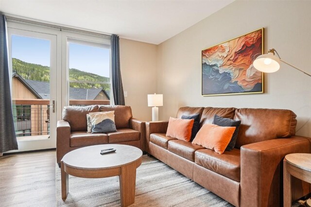 129 River Run Rd Unit 8055, Keystone, CO 80435 - living area with wood finished floors