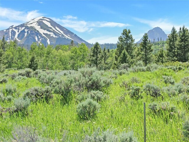 26800 State Highway 9, Silverthorne, CO 80498 - photo 1