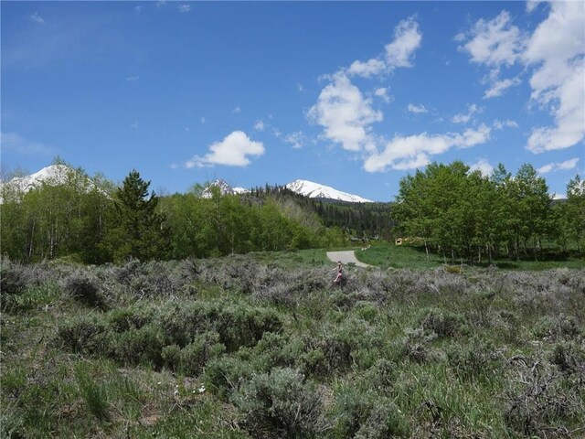 26800 State Highway 9, Silverthorne, CO 80498 - photo 37