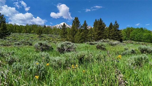 26800 State Highway 9, Silverthorne, CO 80498 - photo 10
