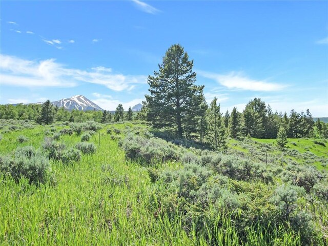 26800 State Highway 9, Silverthorne, CO 80498 - photo 4