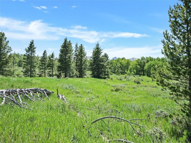 26800 State Highway 9, Silverthorne, CO 80498 - photo 6