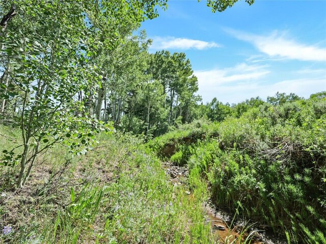 26800 State Highway 9, Silverthorne, CO 80498 - photo 19