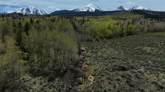 26800 State Highway 9, Silverthorne, CO 80498 - photo 28