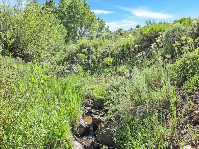 26800 State Highway 9, Silverthorne, CO 80498 - photo 12