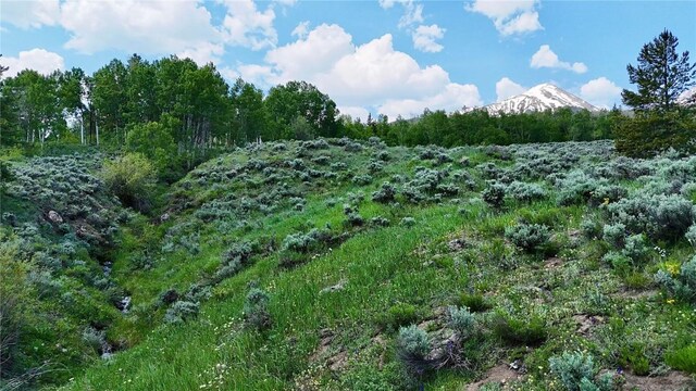 26800 State Highway 9, Silverthorne, CO 80498 - photo 16