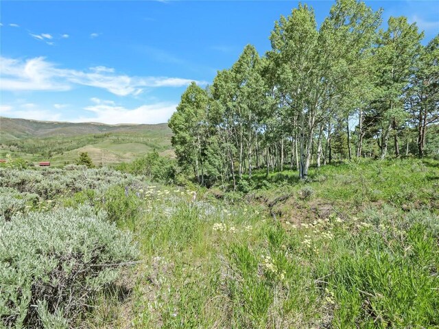 26800 State Highway 9, Silverthorne, CO 80498 - photo 8