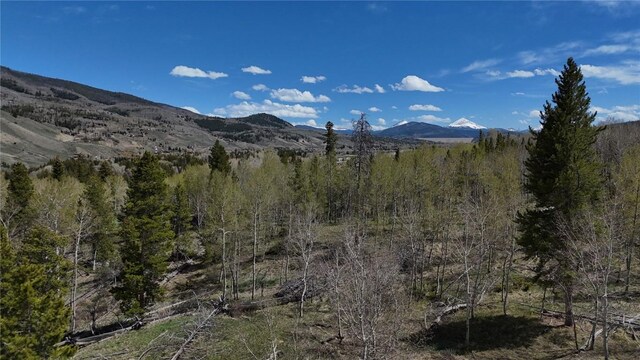 26800 State Highway 9, Silverthorne, CO 80498 - photo 47