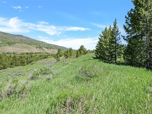 26800 State Highway 9, Silverthorne, CO 80498 - photo 14