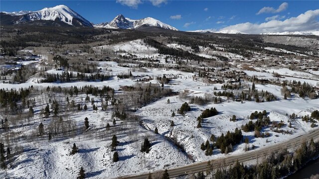 26800 State Highway 9, Silverthorne, CO 80498 - photo 41