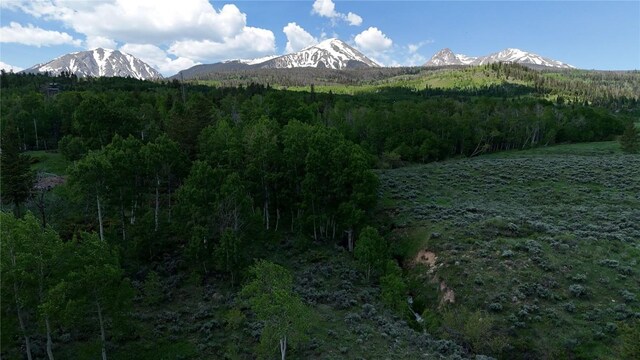 26800 State Highway 9, Silverthorne, CO 80498 - photo 43