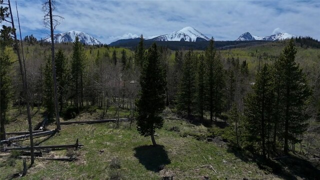 26800 State Highway 9, Silverthorne, CO 80498 - photo 24
