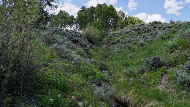 26800 State Highway 9, Silverthorne, CO 80498 - photo 17