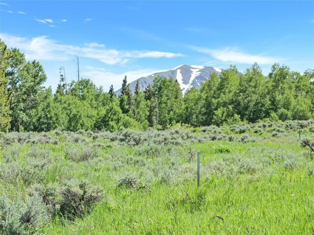 26800 State Highway 9, Silverthorne, CO 80498 - photo 26