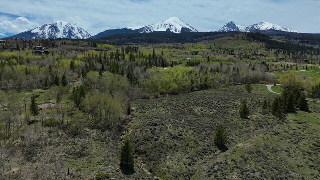 26800 State Highway 9, Silverthorne, CO 80498 - photo 25