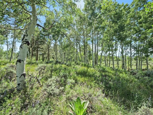 26800 State Highway 9, Silverthorne, CO 80498 - photo 11