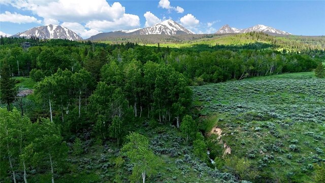 26800 State Highway 9, Silverthorne, CO 80498 - photo 7
