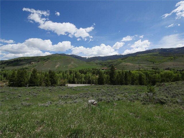 26800 State Highway 9, Silverthorne, CO 80498 - photo 38