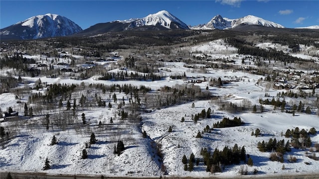 26800 State Highway 9, Silverthorne, CO 80498 - photo 42