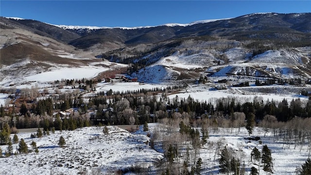 26800 State Highway 9, Silverthorne, CO 80498