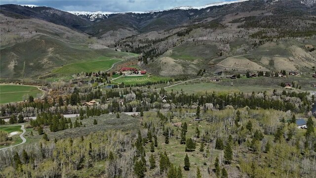 26800 State Highway 9, Silverthorne, CO 80498 - photo 33
