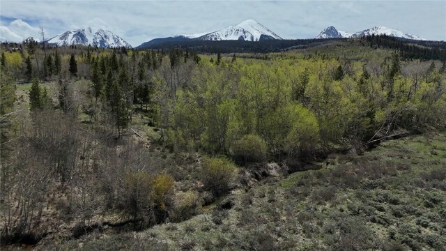 26800 State Highway 9, Silverthorne, CO 80498 - photo 29