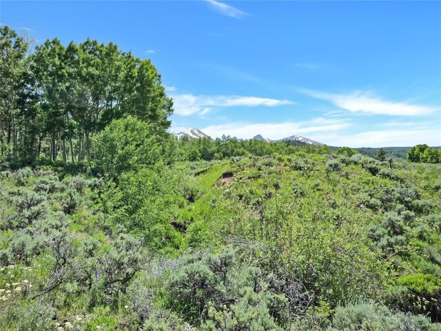 26800 State Highway 9, Silverthorne, CO 80498 - photo 31