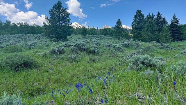 26800 State Highway 9, Silverthorne, CO 80498 - photo 9