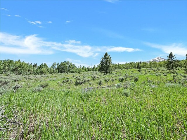 26800 State Highway 9, Silverthorne, CO 80498 - photo 13