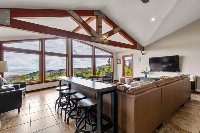 651 Lamb Mountain Rd, Fairplay, CO 80440 - living area featuring vaulted ceiling and recessed lighting