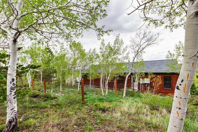 651 Lamb Mountain Rd, Fairplay, CO 80440 - view of yard