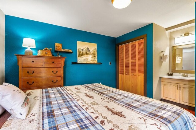 651 Lamb Mountain Rd, Fairplay, CO 80440 - bedroom featuring a closet and a sink